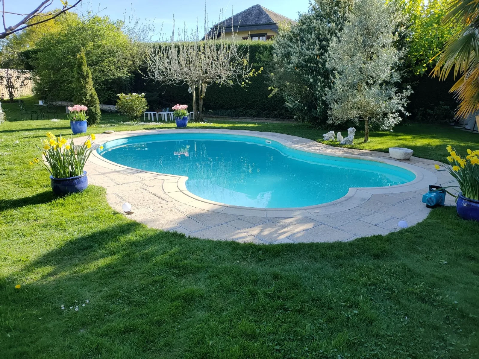Piscine haricot dans un jardin fleuri, réalisation Magicpool