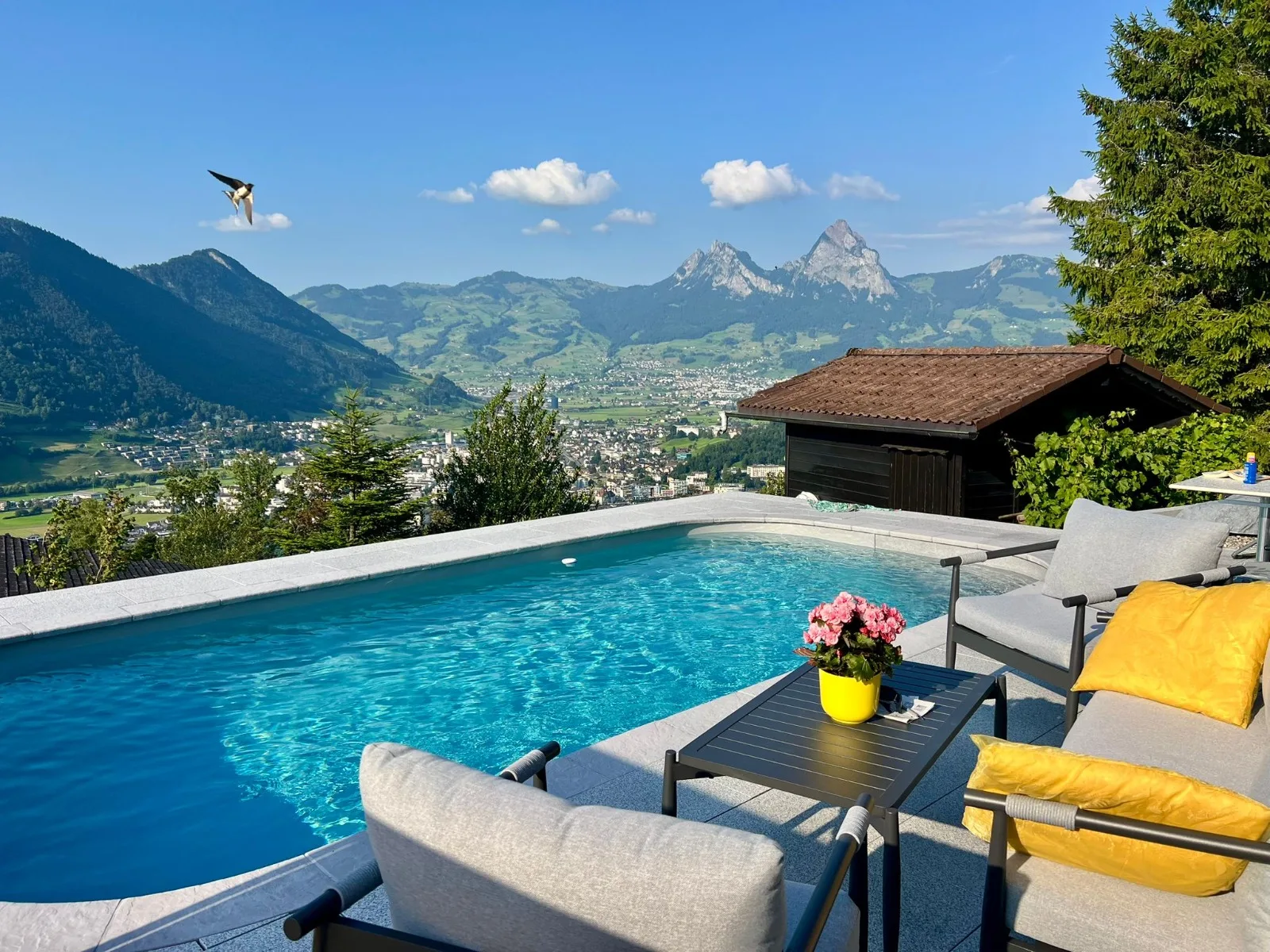 Piscine rectangulaire avec panorama alpin, réalisation Magicpool