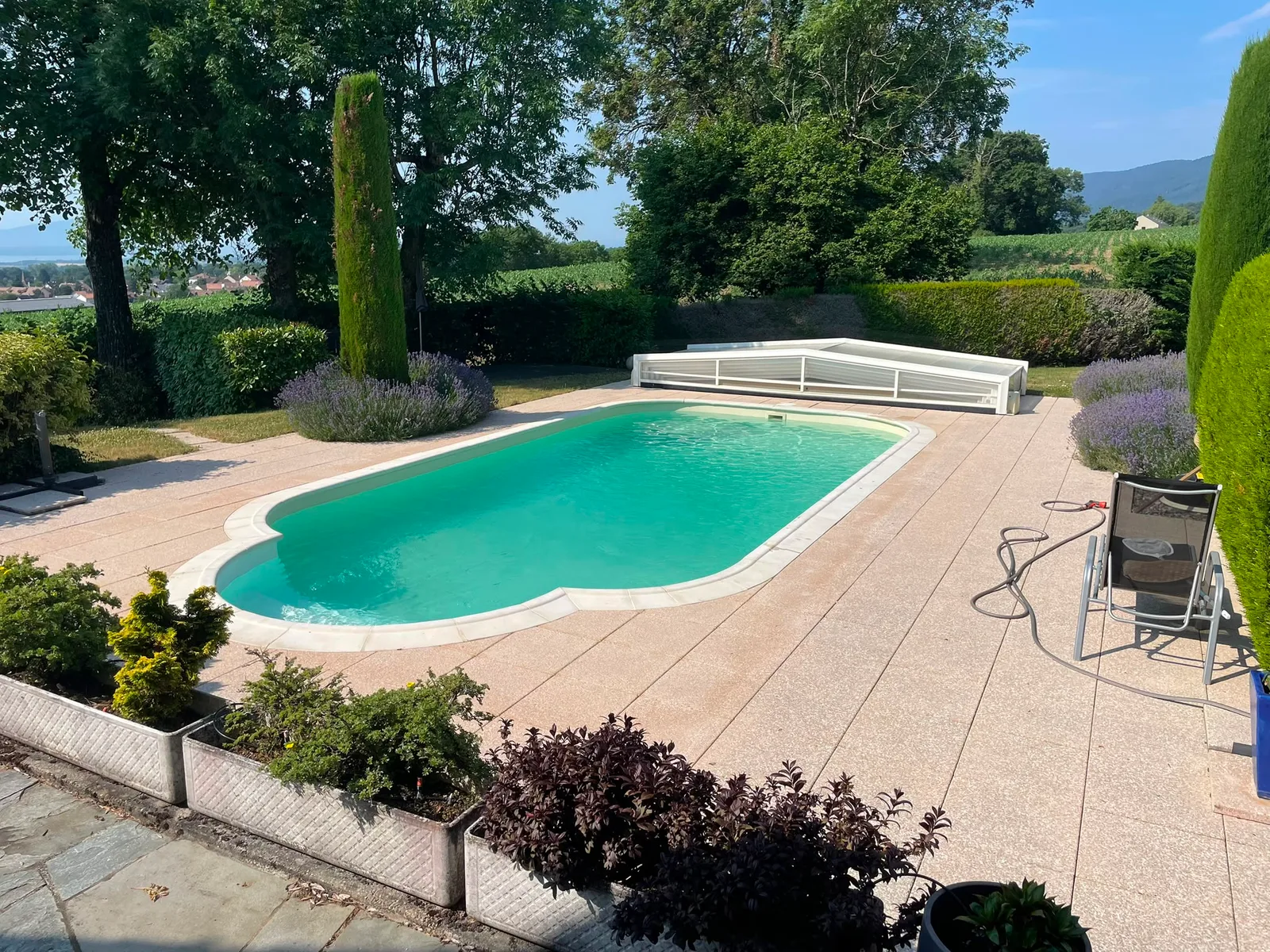 Piscine rectangulaire bordée de lavande, réalisation Magicpool