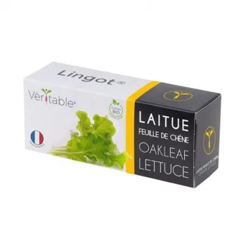 graines-laitue-feuille-de-chene-bio-lingot-veritable