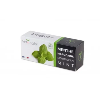 graines-menthe-marocaine-bio-lingot-veritable