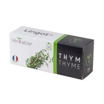 graines-thym-bio-lingot-veritable